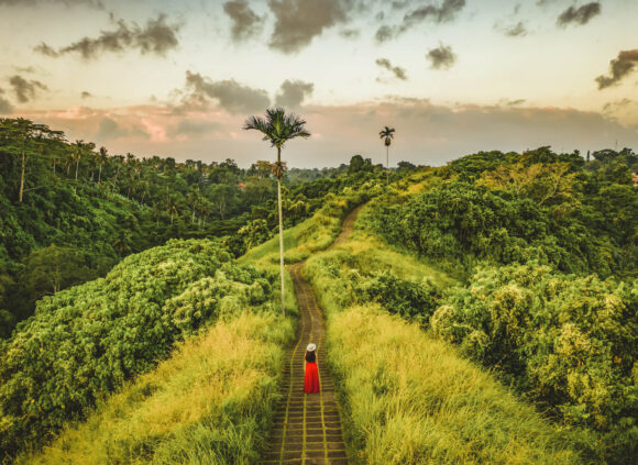 Ubud, Bali, Green nature, убуд, Балі, Бали